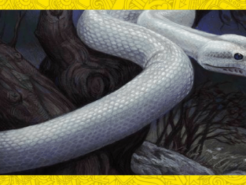 The legend of the white snake